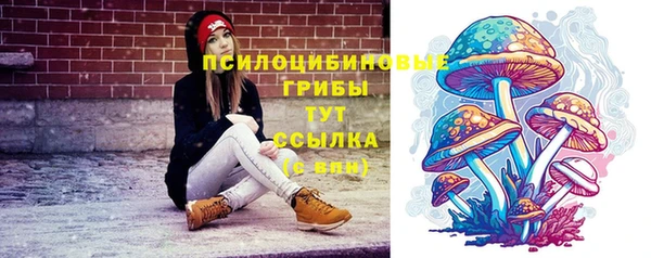 меф Козельск