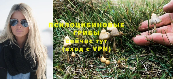 дживик Кодинск