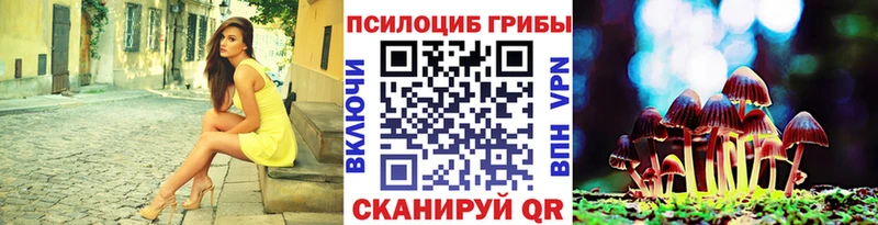 Псилоцибиновые грибы мухоморы  Купить где  Одинцово 